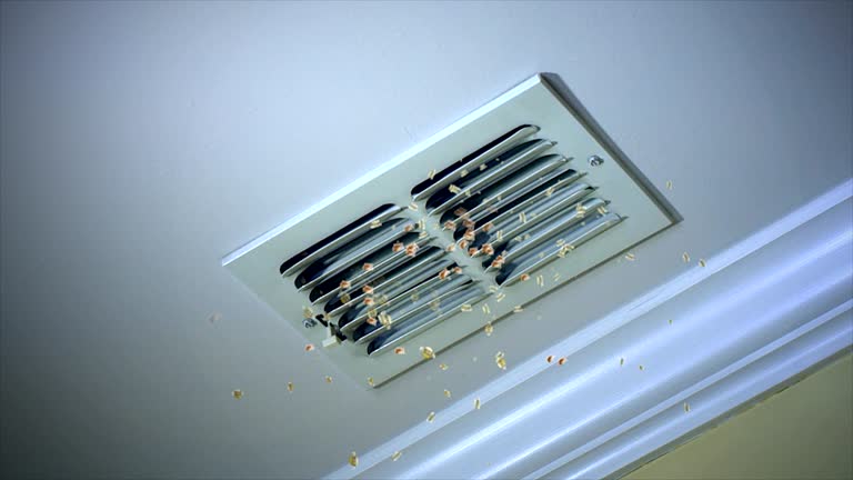 Best HVAC Maintenance and Cleaning  in Tri Lakes, IN