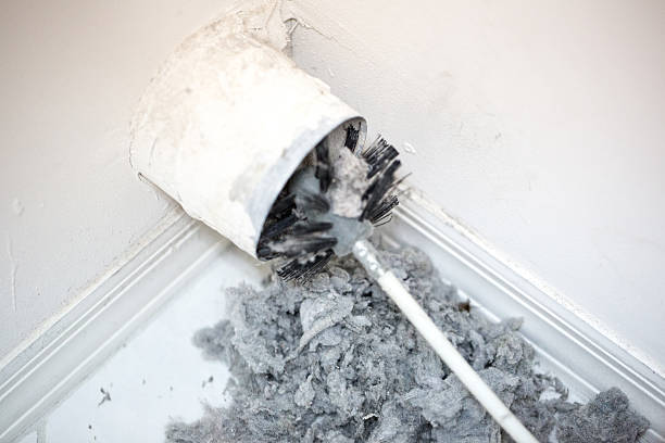 Best Affordable Air Duct Cleaning  in Tri Lakes, IN